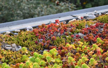 the cost of Roxton green roof installation