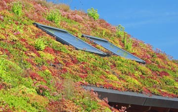 Roxton living roof systems
