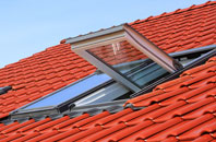 Roxton roof window